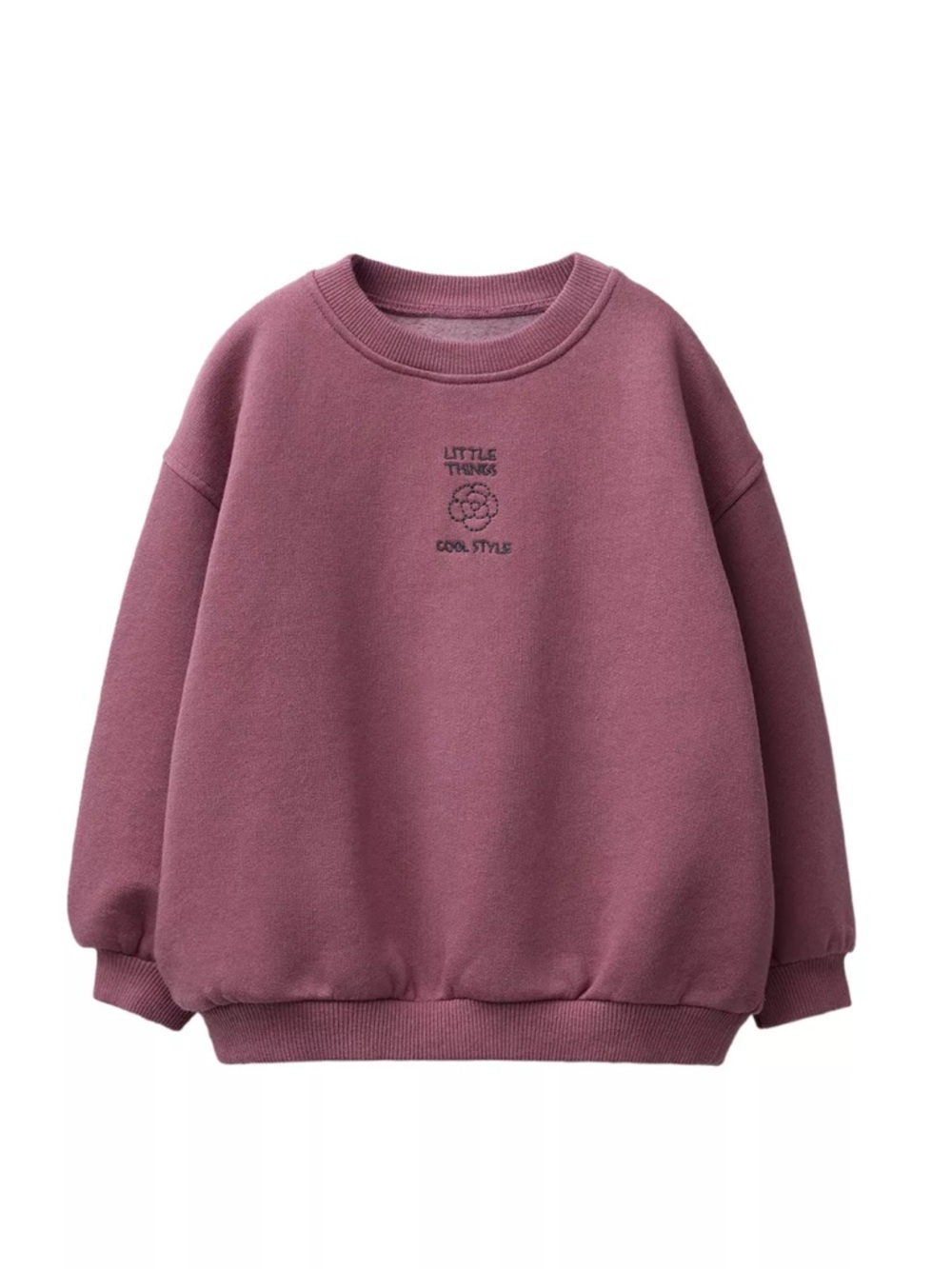 ZARA EMBROIDERED SWEATSHIRT